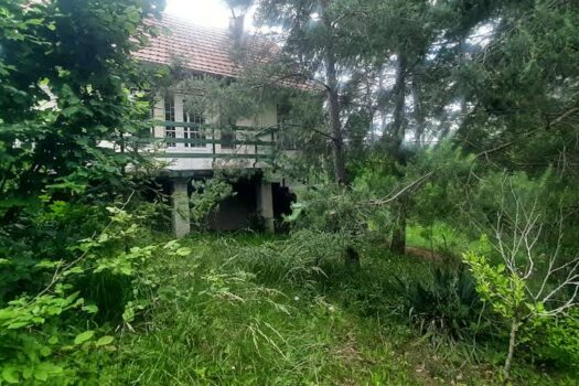 TELKIBÁNYA LEGSZEBB HELYÉN NYARALÓ VAGY KIS HÁZ