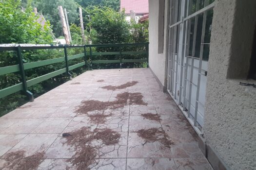 TELKIBÁNYA LEGSZEBB HELYÉN NYARALÓ VAGY KIS HÁZ