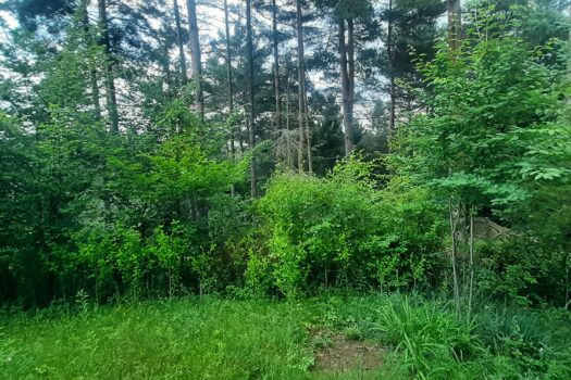 TELKIBÁNYA LEGSZEBB HELYÉN NYARALÓ VAGY KIS HÁZ