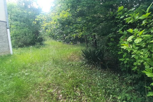 TELKIBÁNYA LEGSZEBB HELYÉN NYARALÓ VAGY KIS HÁZ