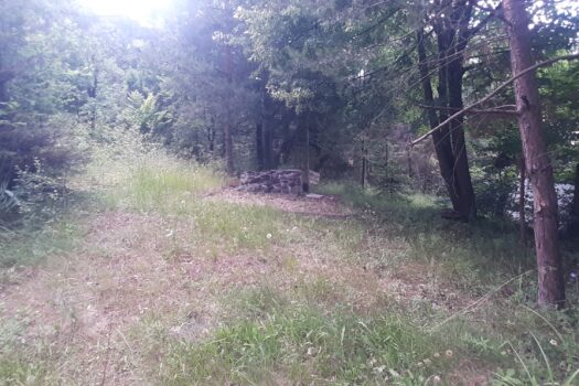 TELKIBÁNYA LEGSZEBB HELYÉN NYARALÓ VAGY KIS HÁZ