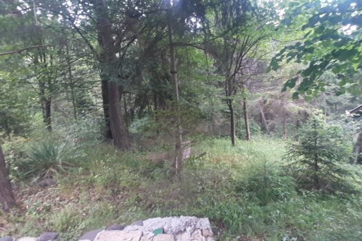 TELKIBÁNYA LEGSZEBB HELYÉN NYARALÓ VAGY KIS HÁZ