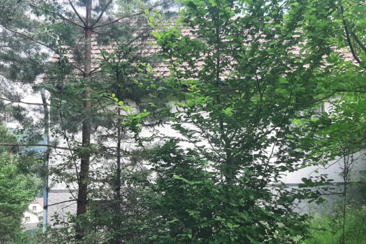 TELKIBÁNYA LEGSZEBB HELYÉN NYARALÓ VAGY KIS HÁZ