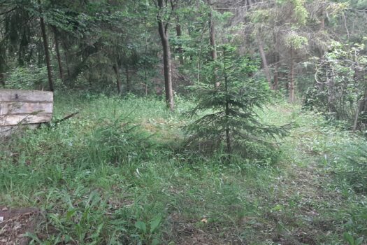 TELKIBÁNYA LEGSZEBB HELYÉN NYARALÓ VAGY KIS HÁZ