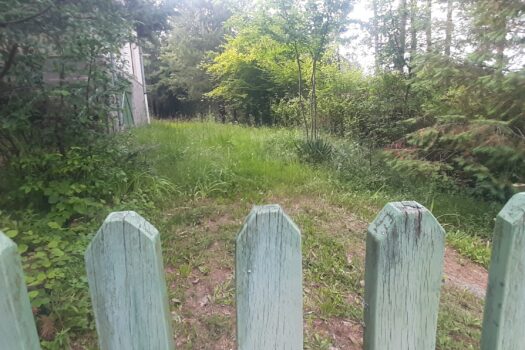 TELKIBÁNYA LEGSZEBB HELYÉN NYARALÓ VAGY KIS HÁZ