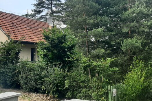 TELKIBÁNYA LEGSZEBB HELYÉN NYARALÓ VAGY KIS HÁZ