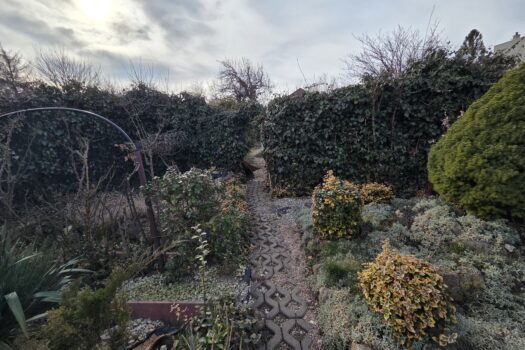 Eladó hangulatos családi ház Borsod-Abaúj-Zemplén vármegyében, Szerencs jól frekventált részén!