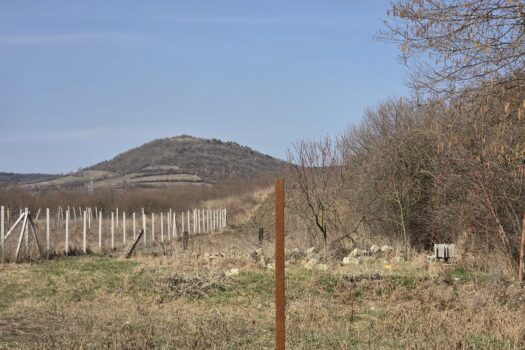 Teljeskörűen felújított, azonnal költözhető családi ház eladó Szegiben!