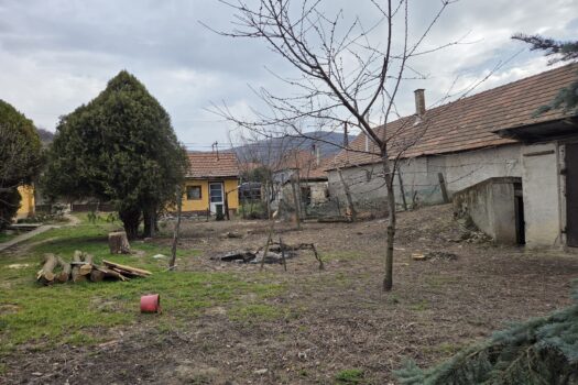 Hangulatos családi ház Tarcalon