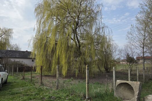Eladó üzlethelyiség Taktakenézen – nagy telekkel, pincével, teljes közművel