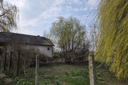 Eladó üzlethelyiség Taktakenézen – nagy telekkel, pincével, teljes közművel