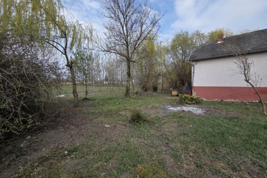 Eladó üzlethelyiség Taktakenézen – nagy telekkel, pincével, teljes közművel