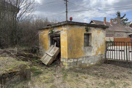 Monok főutcáján eladó felújítandó családi ház nagy telekkel és értékes melléképületekkel