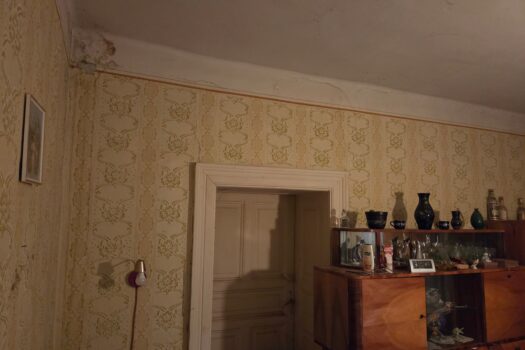 Felújítandó gyöngyszem Szerencs szívében – Álmodd újra, teremts értéket!